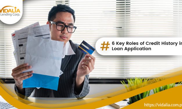 6 Key Roles of Credit History in Loan Application