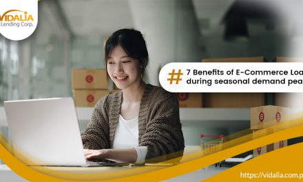 7 Benefits of E-Commerce Loan during seasonal demand peaks