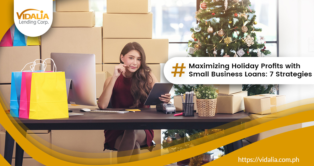 Maximizing Holiday Profits with Small Business Loans: 7 Strategies