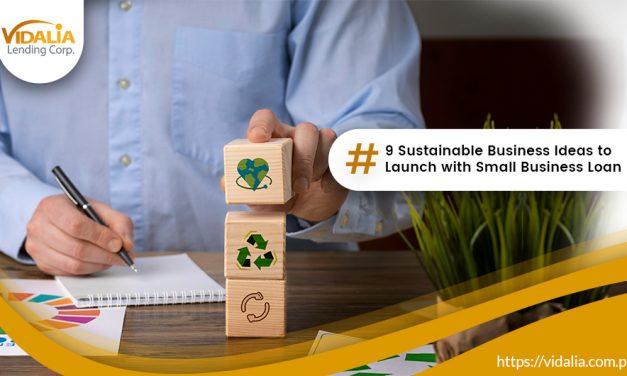 9 Sustainable Business Ideas to Launch with Small Business Loan