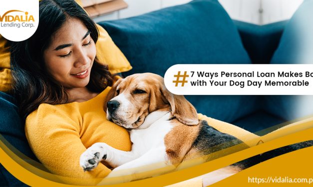 7 Ways Personal Loan Makes Bond with Your Dog Day Memorable