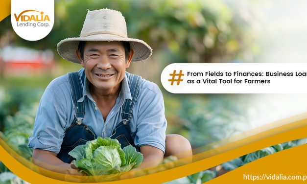 From Fields to Finances: Business Loan as a Vital Tool for Farmers